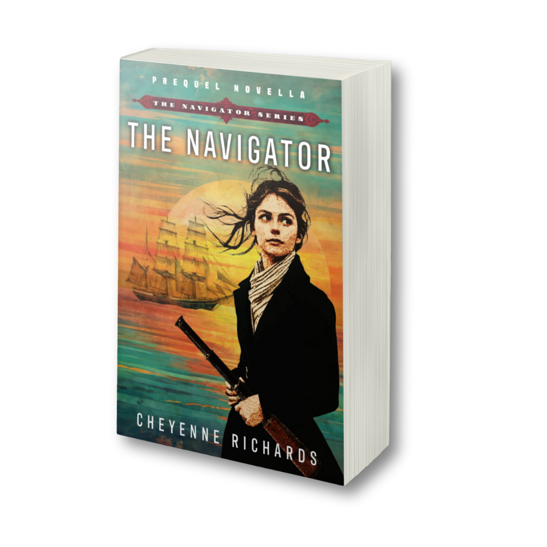 The Navigator (Paperback)